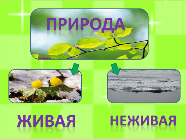 Значение природы 3 класс. Что восхищает нас в природе окружающий мир.