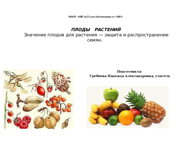 Какое значение плодов в природе. Значение плодов для растений. Значение плода для растения. Значение плодов и семян. Значение плодовых растений.