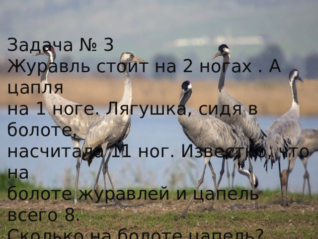 Задача № 3 Журавль стоит на 2 ногах . А цапля на 1 ноге. Лягушка, сидя в болоте, насчитала 11 ног. Известно, что на болоте журавлей и цапель всего 8. Сколько на болоте цапель? 