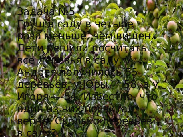 Задача №5 Груш в саду в четыре раза меньше, чем вишен. Дети решили посчитать все деревья в саду. У Андрея получилось 55 деревьев, у Юры — 58, а у Игоря — 54. Известно, что один из них посчитал верно. Сколько деревьев в саду?   