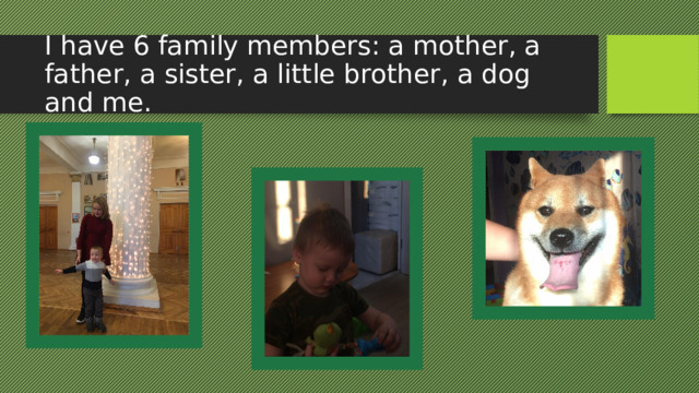 I have 6 family members: a mother, a father, a sister, a little brother, a dog and me. 