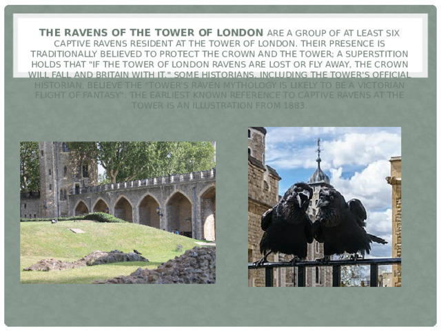 The Ravens of the Tower of London are a group of at least six captive ravens resident at the Tower of London. Their presence is traditionally believed to protect the Crown and the Tower; a superstition holds that 