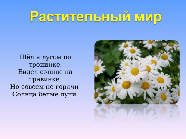 Поле цветов презентация 2 класс