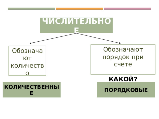 числительное Обозначают порядок при счете КАКОЙ? КОТОРЫЙ? Обозначают количество  СКОЛЬКО? количественные порядковые 