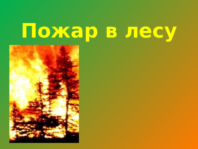 Пожар в лесу 