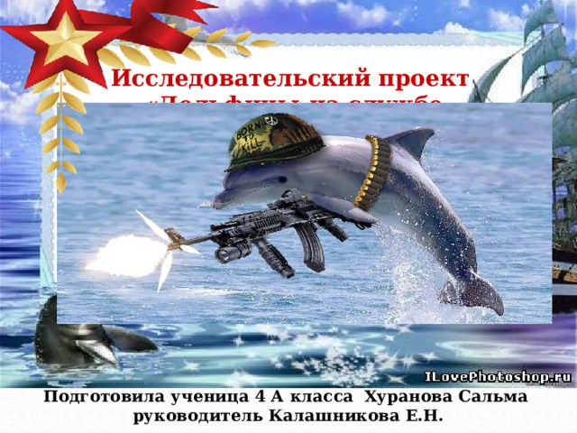 Исследовательский проект  «Дельфины-на службе Родине» Подготовила ученица 4 А класса Хуранова Сальма  руководитель Калашникова Е.Н. 