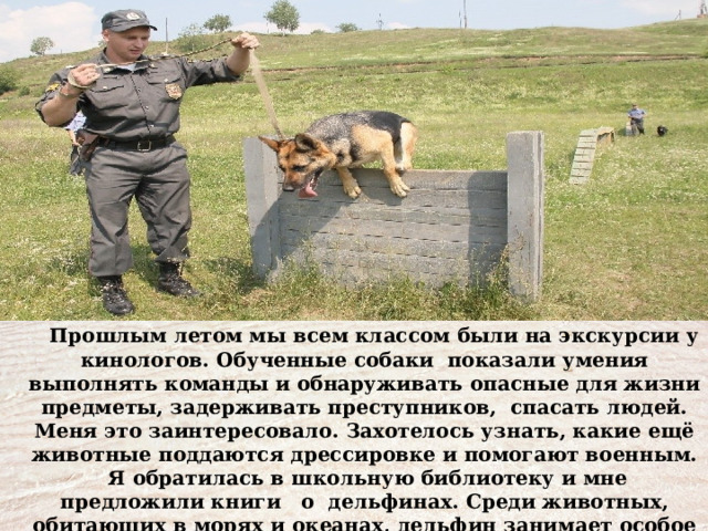 Прошлым летом мы всем классом были на экскурсии у кинологов. Обученные собаки показали умения выполнять команды и обнаруживать опасные для жизни предметы, задерживать преступников, спасать людей. Меня это заинтересовало. Захотелось узнать, какие ещё животные поддаются дрессировке и помогают военным. Я обратилась в школьную библиотеку и мне предложили книги о дельфинах. Среди животных, обитающих в морях и океанах, дельфин занимает особое место. 