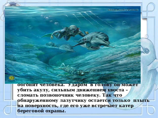  Уплыть от дельфина невозможно – он легко обгонит человека. Ударом в голову он может убить акулу, сильным движением хвоста – сломать позвоночник человеку. Так что обнаруженному лазутчику остается только плыть на поверхность, где его уже встречает катер береговой охраны. 