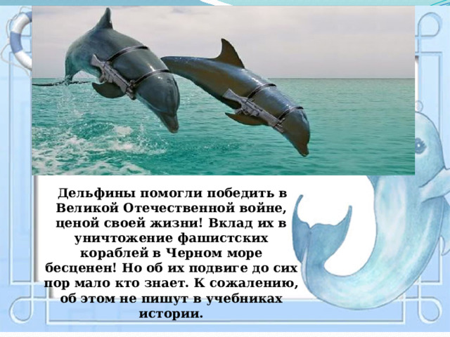 Дельфины помогли победить в Великой Отечественной войне, ценой своей жизни! Вклад их в уничтожение фашистских кораблей в Черном море бесценен! Но об их подвиге до сих пор мало кто знает. К сожалению, об этом не пишут в учебниках истории.    