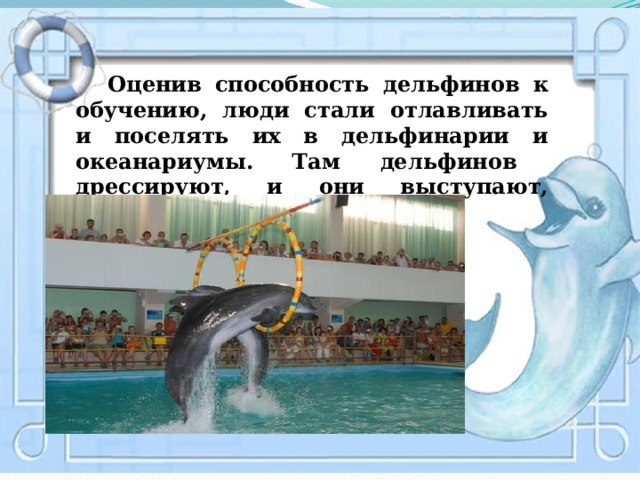   Оценив способность дельфинов к обучению, люди стали отлавливать и поселять их в дельфинарии и океанариумы.  Там  дельфинов дрессируют, и они выступают, развлекая зрителей. 