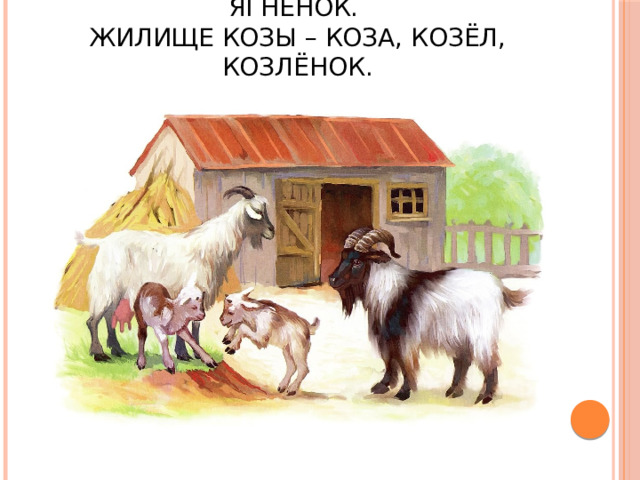 Семья козы - коза, козёл, ягнёнок.  Жилище козы – коза, козёл, козлёнок. 