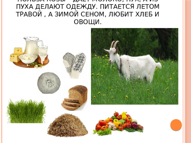Польза козы – даёт молоко, пух, а из пуха делают одежду. Питается летом травой , а зимой сеном, любит хлеб и овощи. 