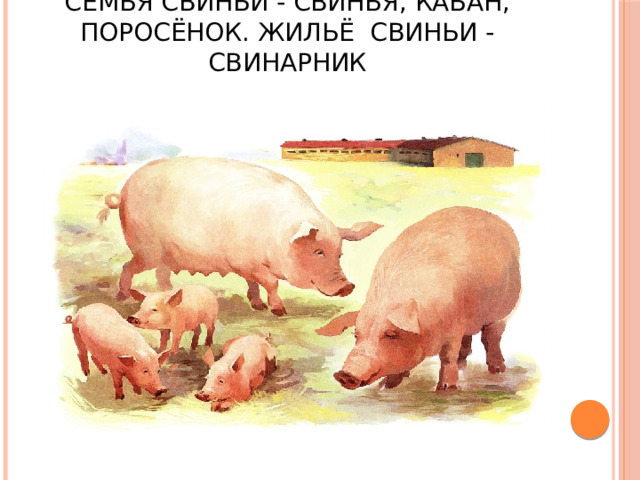 Семья свиньи - свинья, кабан, поросёнок. Жильё свиньи - свинарник 