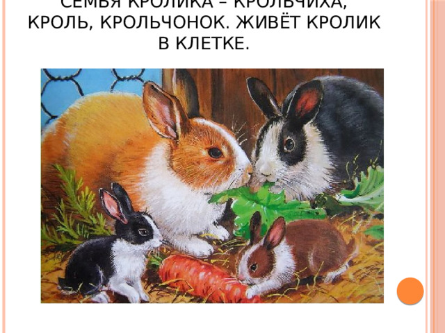 Семья кролика – крольчиха, кроль, крольчонок. Живёт кролик в клетке. 