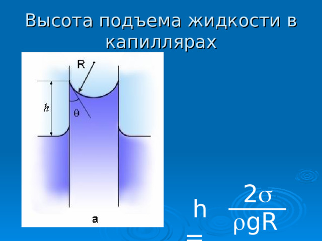Высота подъема жидкости в капиллярах 2   h =  gR 