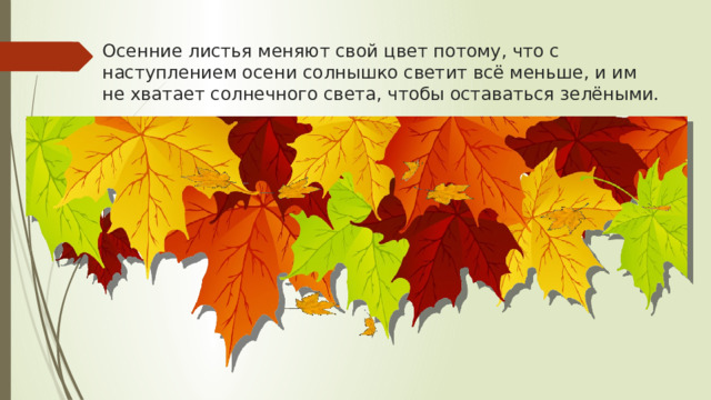 Осенние листья меняют свой цвет потому, что с наступлением осени солнышко светит всё меньше, и им не хватает солнечного света, чтобы оставаться зелёными. 