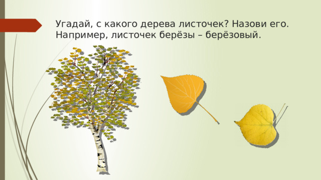 Угадай, с какого дерева листочек? Назови его. Например, листочек берёзы – берёзовый. 