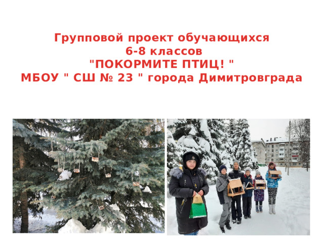  Групповой проект обучающихся  6-8 классов  