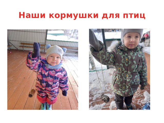Наши кормушки для птиц 