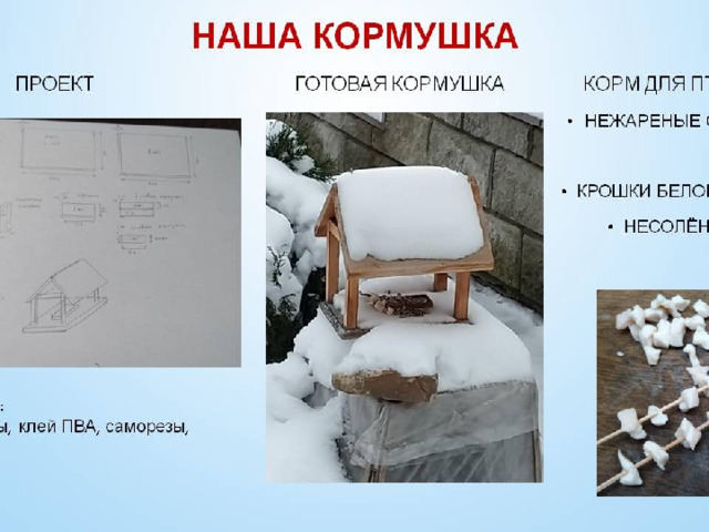 Я вместе с папой изготовили экологическую кормушку для птиц. К нашей кормушке полакомиться прилетали синички и воробьи. 