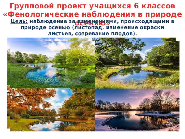 Групповой проект учащихся 6 классов «Фенологические наблюдения в природе осенью» Цель: наблюдение за изменениями, происходящими в природе осенью (листопад, изменение окраски листьев, созревание плодов). 