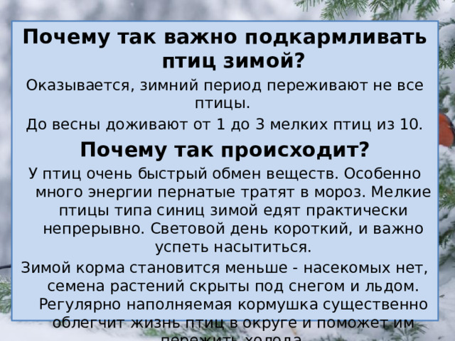 Почему так важно подкармливать птиц зимой? Оказывается, зимний период переживают не все птицы.  До весны доживают от 1 до 3 мелких птиц из 10. Почему так происходит? У птиц очень быстрый обмен веществ. Особенно много энергии пернатые тратят в мороз. Мелкие птицы типа синиц зимой едят практически непрерывно. Световой день короткий, и важно успеть насытиться. Зимой корма становится меньше - насекомых нет, семена растений скрыты под снегом и льдом. Регулярно наполняемая кормушка существенно облегчит жизнь птиц в округе и поможет им пережить холода.  