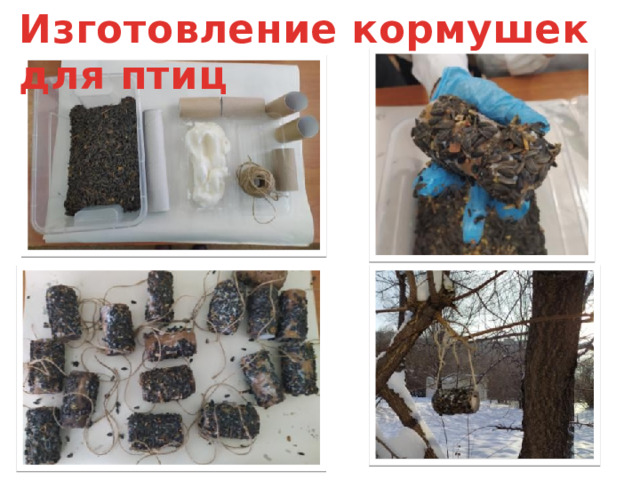 Изготовление кормушек для птиц 