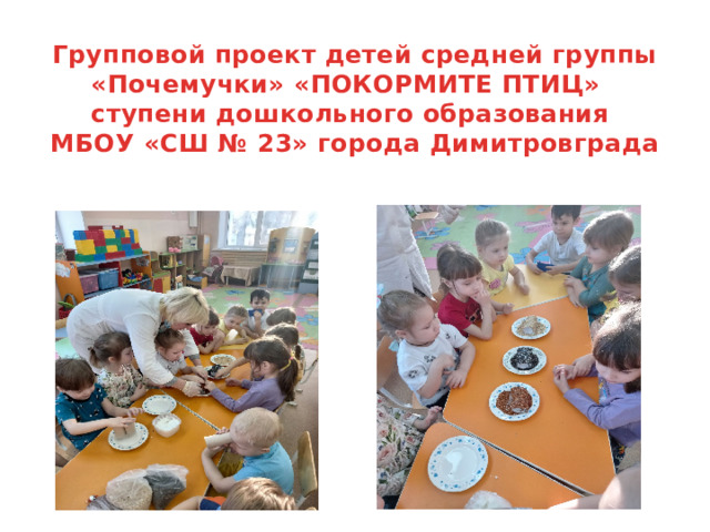 Групповой проект детей средней группы «Почемучки» «ПОКОРМИТЕ ПТИЦ»  ступени дошкольного образования  МБОУ «СШ № 23» города Димитровграда   