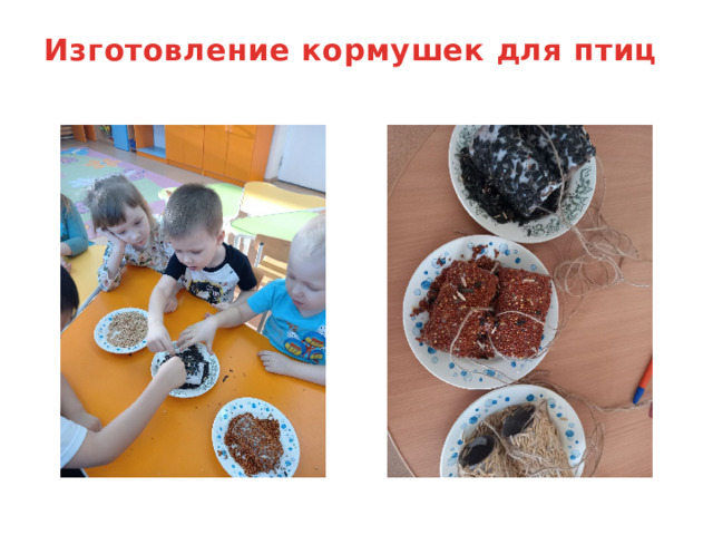 Изготовление кормушек для птиц   