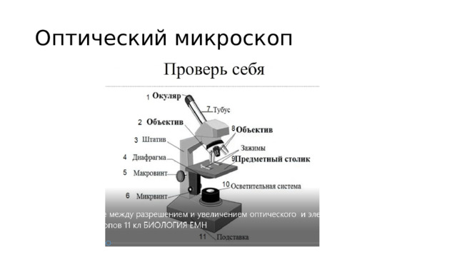 Оптический микроскоп 