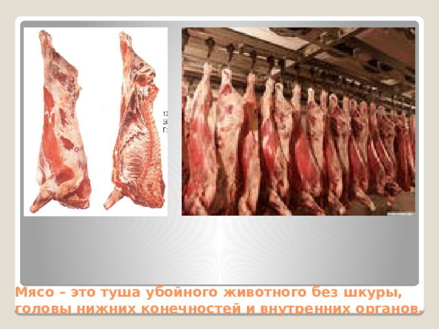 Мясо – это туша убойного животного без шкуры, головы нижних конечностей и внутренних органов. 