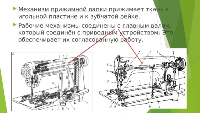 Механизм прижимной лапки прижимает ткань к игольной пластине и к зубчатой рейке. Рабочие механизмы соединены с главным валом , который соединён с приводным устройством. Это обеспечивает их согласованную работу. 