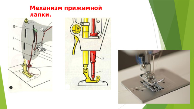 Механизм прижимной лапки. 