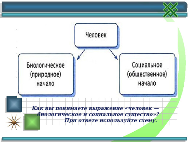 Загадка человека проект