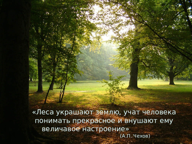 «Леса украшают землю, учат человека понимать прекрасное и внушают ему   величавое настроение»       (А.П. Чехов)  
