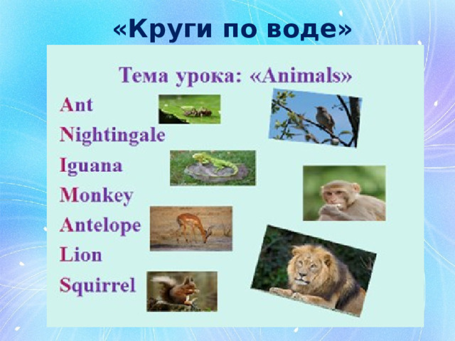   «Круги по воде» 