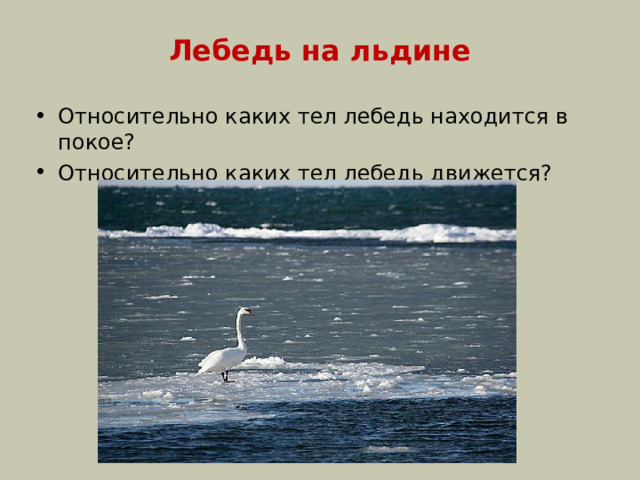 Лебедь на льдине Относительно каких тел лебедь находится в покое? Относительно каких тел лебедь движется?  