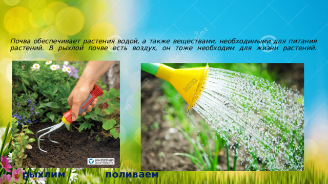 Почва обеспечивает растения водой, а также веществами, необходимыми для питания растений. В рыхлой почве есть воздух, он тоже необходим для жизни растений.    рыхлим поливаем 