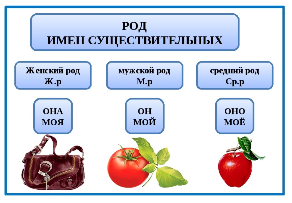 Технологическая карта урока по русскому языку 3 класс число имен существительных