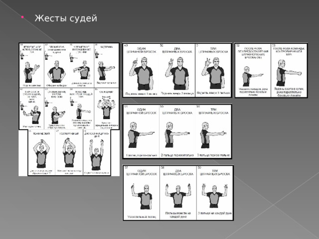 Жесты судьи в самбо картинки