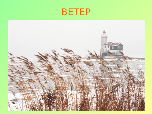 ВЕТЕР 
