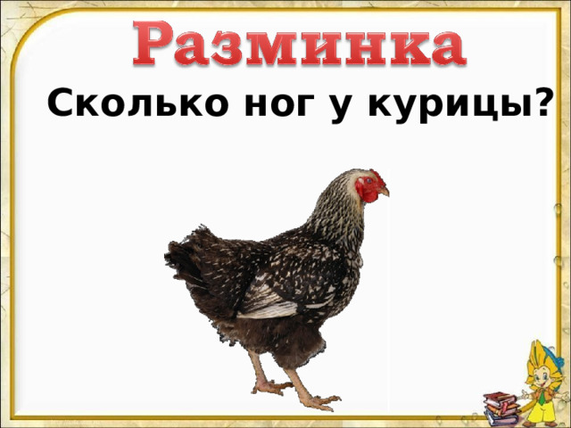 Сколько ног у курицы? 