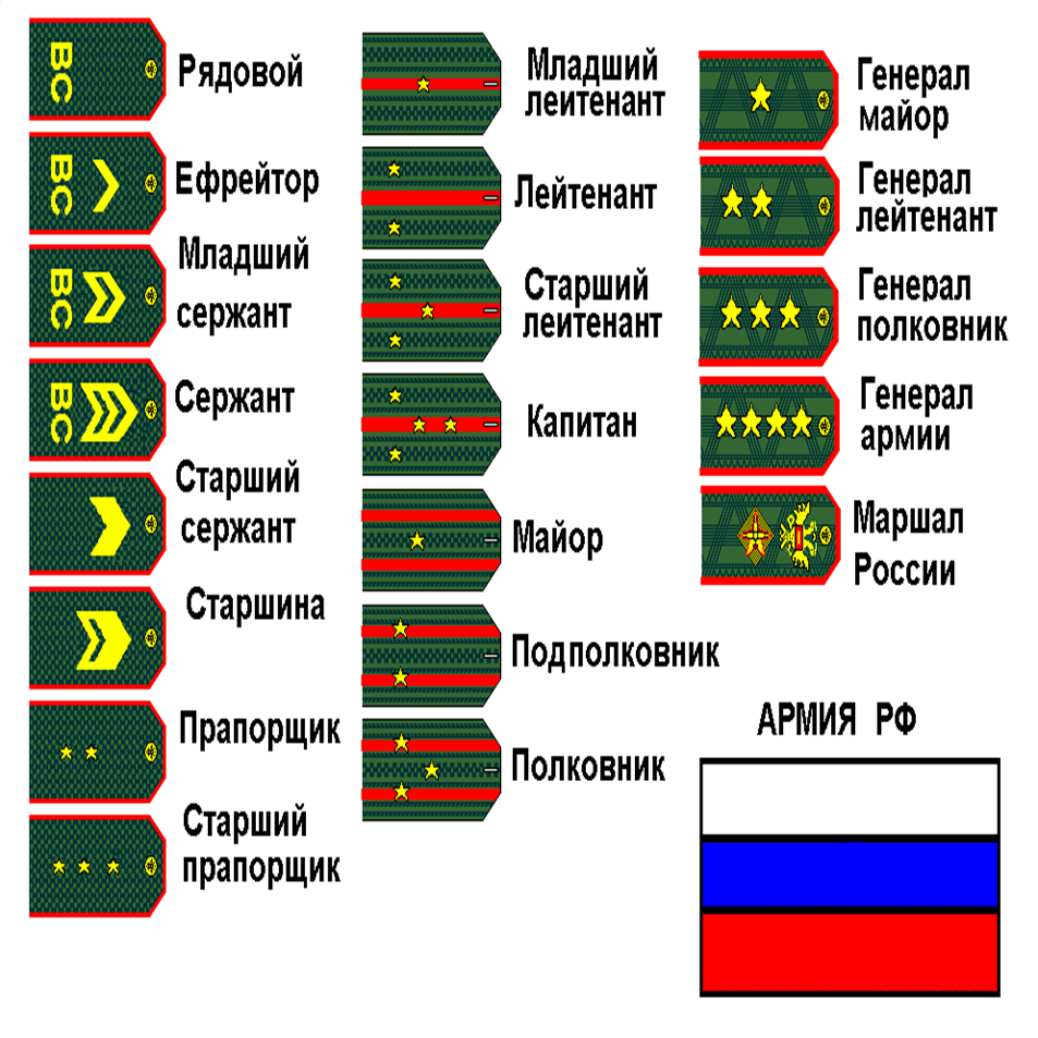 ПОЛОЖЕНИЕ о проведении военно-спортивной игры «Зарница»