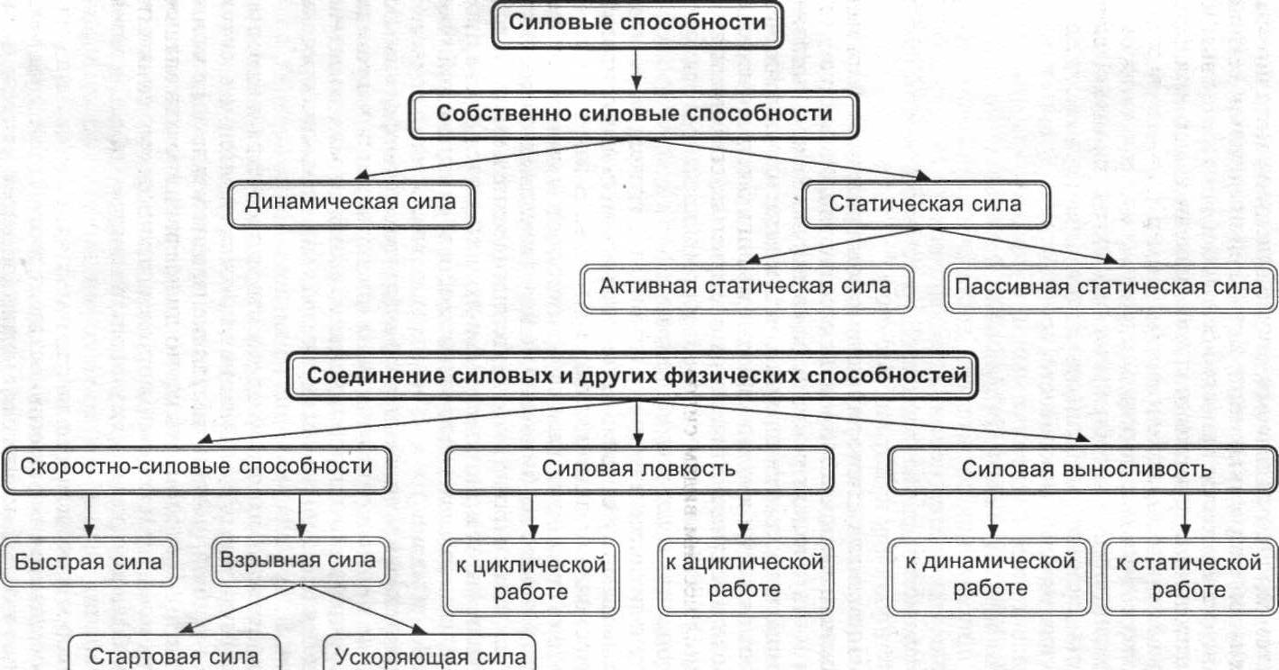 Дополните схему характеризующую основные физические качества человека