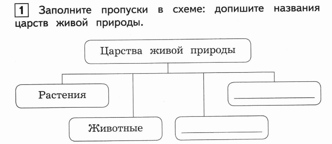 Тест по биологии царство живой природы. Царства живой природы 3 класс окружающий мир схема. Царства живой природы 3 класс окружающий мир схема ответы. Царства живой природы 3 класс окружающий мир. Схема для заполнения царства живой природы