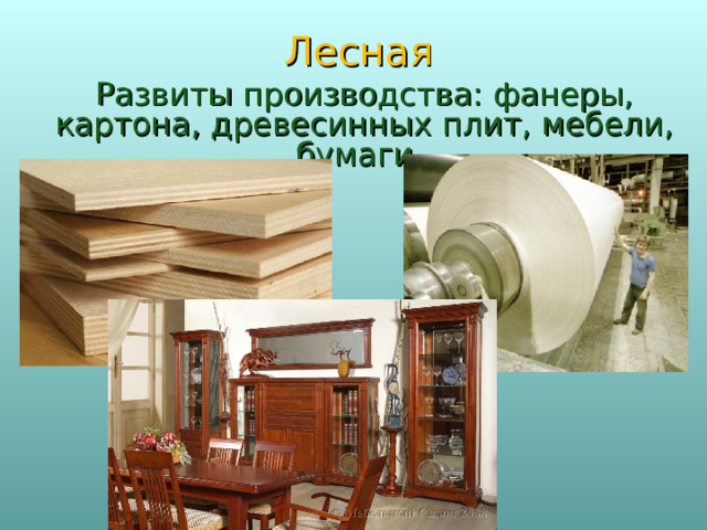 Лесная Развиты производства: фанеры, картона, древесинных плит, мебели, бумаги.  