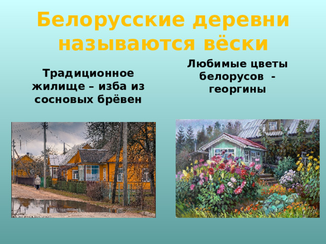 Белорусские деревни называются вёски Любимые цветы белорусов - георгины Традиционное жилище – изба из сосновых брёвен 