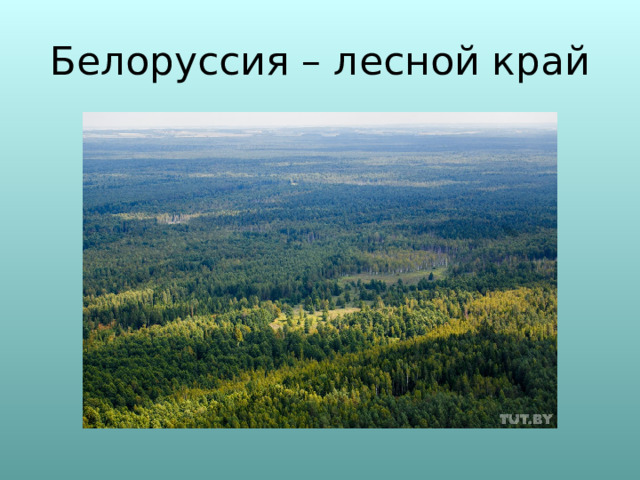 Белоруссия – лесной край 