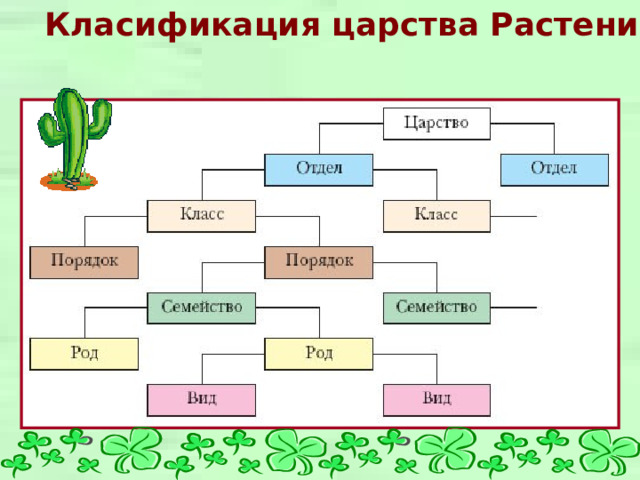 Класификация царства Растения. 