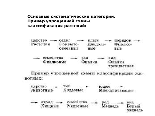 Наибольшая систематическая единица